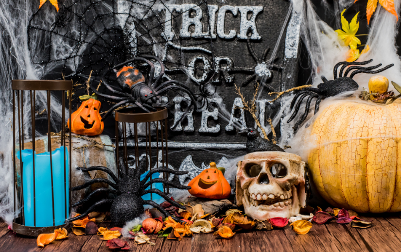 Halloween-themed display with pumpkin, skull, and decorations for dropshipping niche products.